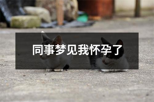 同事梦见我怀孕了