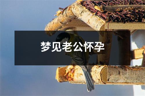 梦见老公怀孕