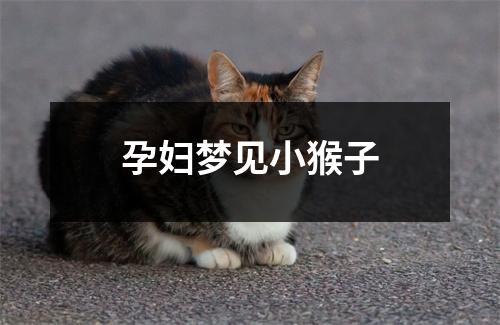 孕妇梦见小猴子