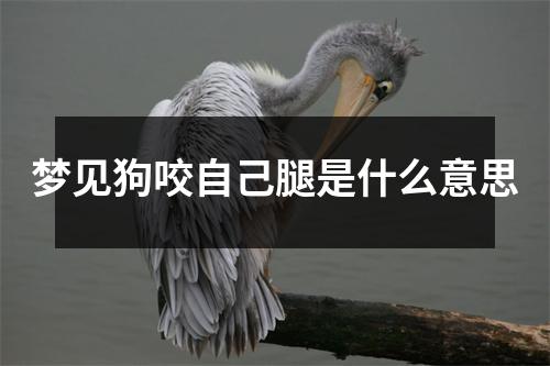 梦见狗咬自己腿是什么意思