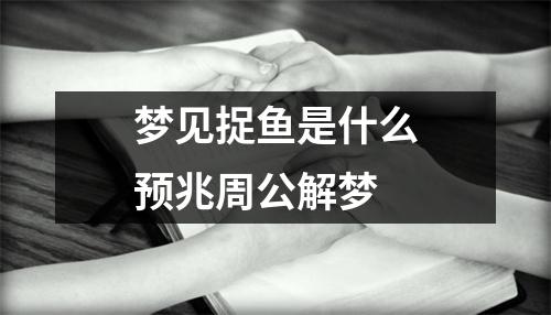 梦见捉鱼是什么预兆周公解梦