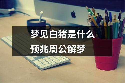 梦见白猪是什么预兆周公解梦