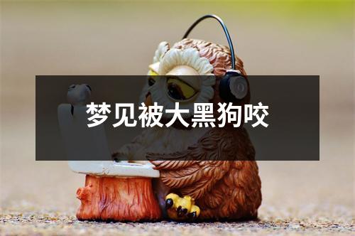 梦见被大黑狗咬