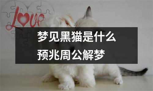 梦见黑猫是什么预兆周公解梦