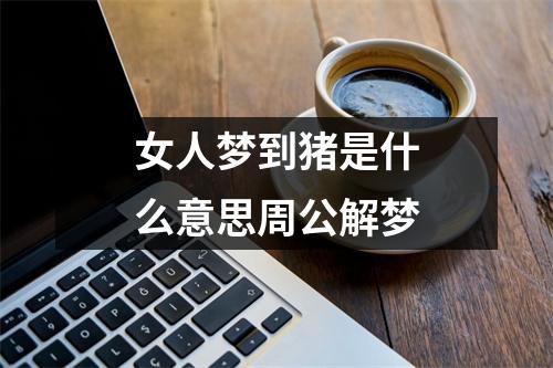 女人梦到猪是什么意思周公解梦