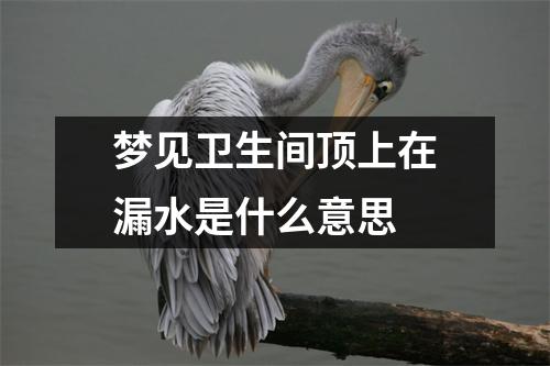 梦见卫生间顶上在漏水是什么意思