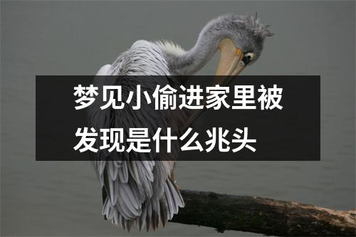 梦见小偷进家里被发现是什么兆头