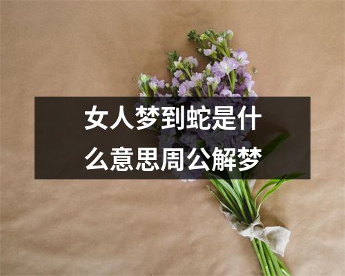 女人梦到蛇是什么意思周公解梦