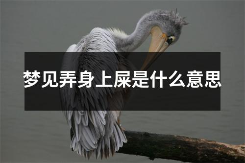 梦见弄身上屎是什么意思