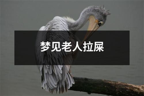 梦见老人拉屎