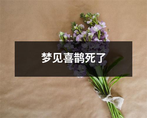 梦见喜鹊死了