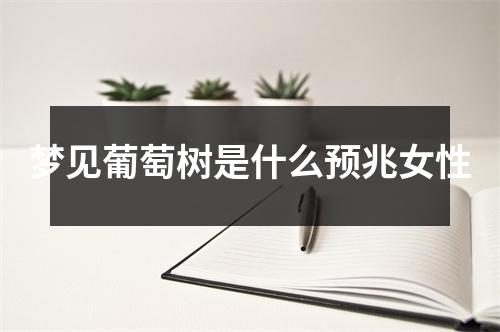 梦见葡萄树是什么预兆女性