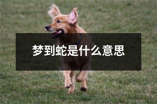 梦到蛇是什么意思