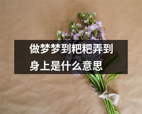 做梦梦到粑粑弄到身上是什么意思