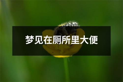 梦见在厕所里大便