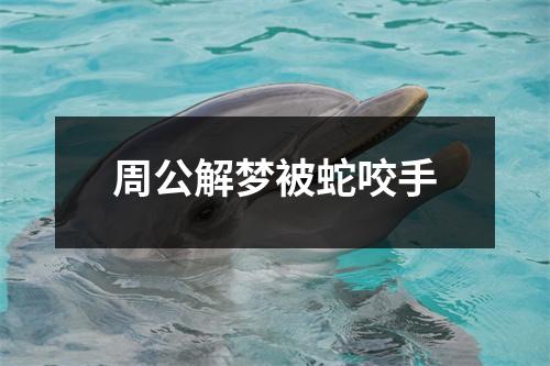 周公解梦被蛇咬手