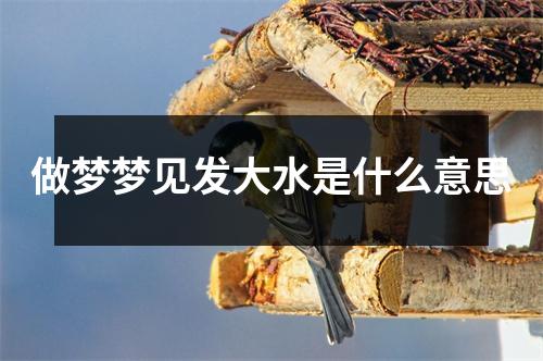 做梦梦见发大水是什么意思