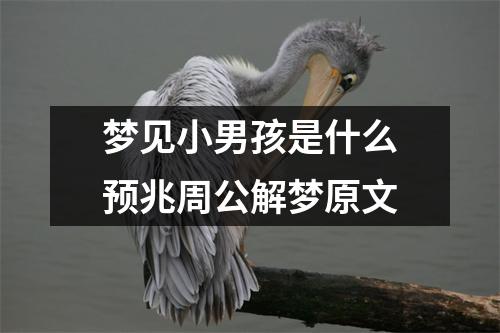 梦见小男孩是什么预兆周公解梦原文