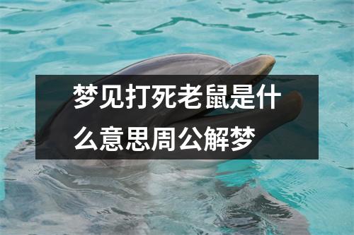 梦见打死老鼠是什么意思周公解梦