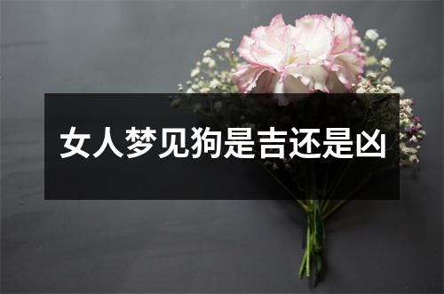 女人梦见狗是吉还是凶