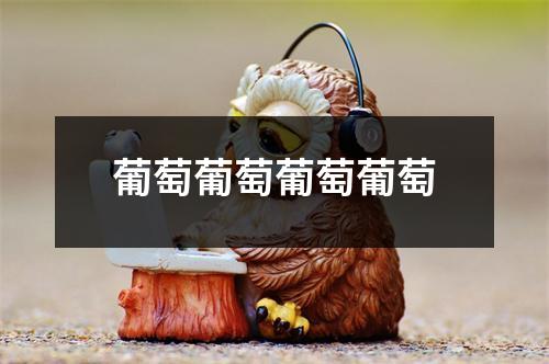 葡萄葡萄葡萄葡萄