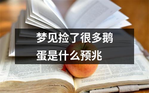 梦见捡了很多鹅蛋是什么预兆