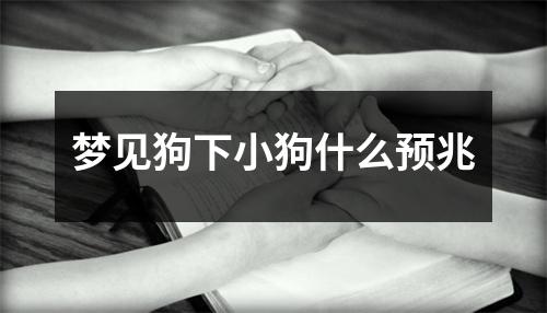 梦见狗下小狗什么预兆