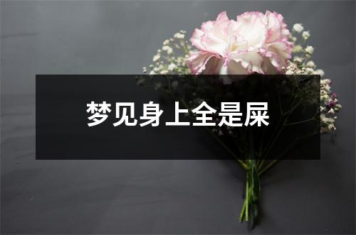 梦见身上全是屎