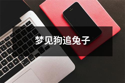 梦见狗追兔子