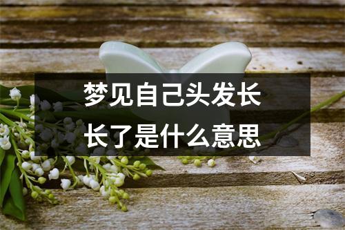 梦见自己头发长长了是什么意思