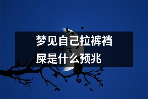 梦见自己拉裤裆屎是什么预兆