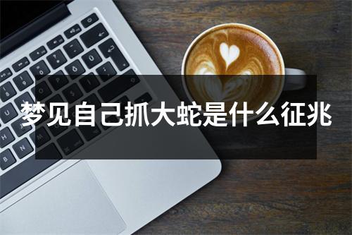 梦见自己抓大蛇是什么征兆