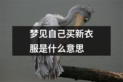 梦见自己买新衣服是什么意思