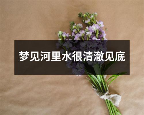 梦见河里水很清澈见底