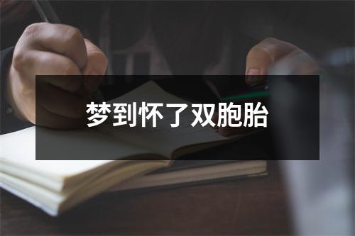 梦到怀了双胞胎