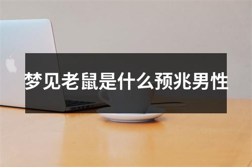 梦见老鼠是什么预兆男性