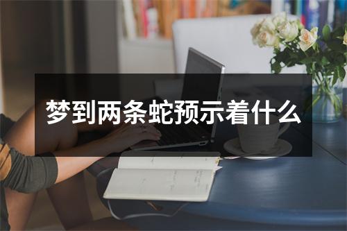 梦到两条蛇预示着什么