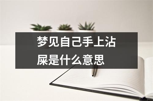 梦见自己手上沾屎是什么意思