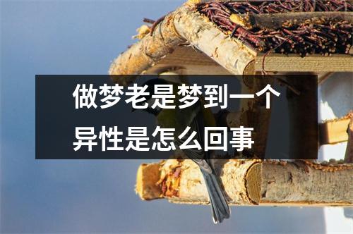 做梦老是梦到一个异性是怎么回事