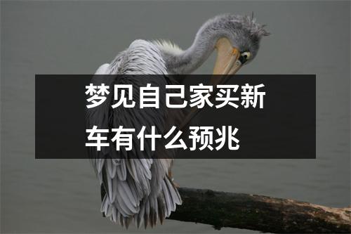 梦见自己家买新车有什么预兆