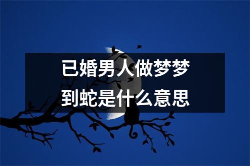 已婚男人做梦梦到蛇是什么意思