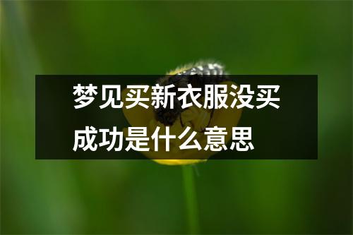 梦见买新衣服没买成功是什么意思