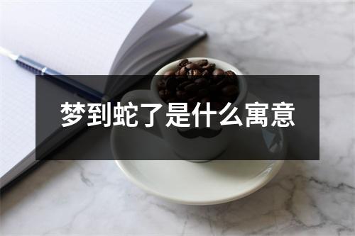 梦到蛇了是什么寓意