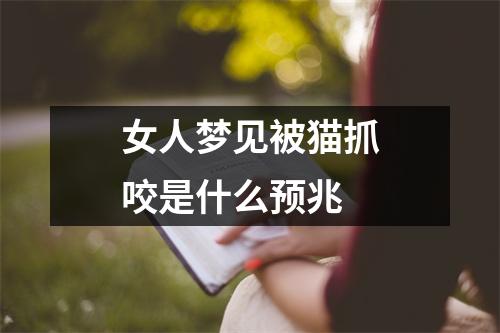 女人梦见被猫抓咬是什么预兆