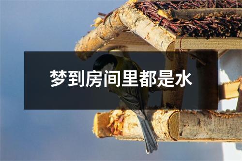 梦到房间里都是水