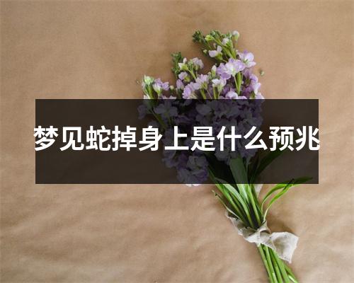 梦见蛇掉身上是什么预兆