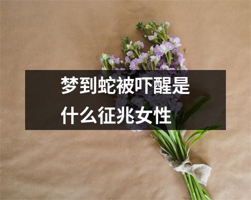 梦到蛇被吓醒是什么征兆女性