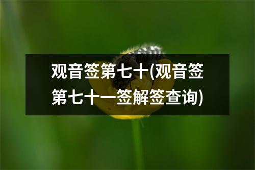 观音签第七十(观音签第七十一签解签查询)