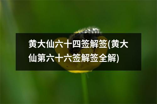 黄大仙六十四签解签(黄大仙第六十六签解签全解)