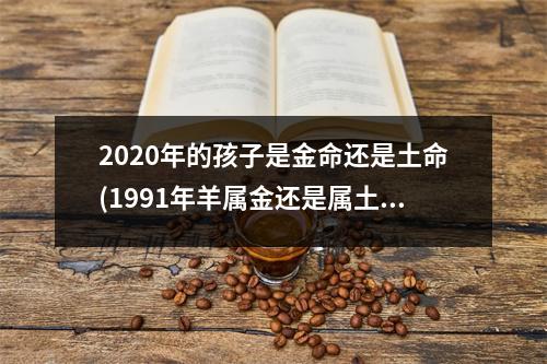 2020年的孩子是金命还是土命(1991年羊属金还是属土)